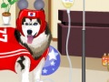play Dogs At The Vet