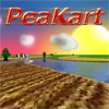 play Peakart