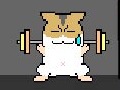 play Look For Hamsters