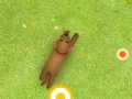 play Chocolate Course