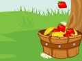 play Catch The Fruits