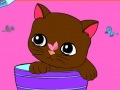 play Online Coloring Cat