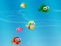 play Hungry Fishy