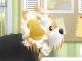 play Pet-Grooming Studio