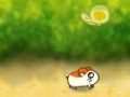 play Hamster Race 4