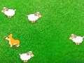 play Catching Sheep