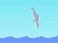 play Dolphin Olympic