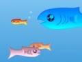 play Fishy 1