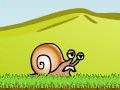 play Snail Adventure