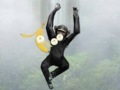 play Monkey Flight