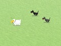 play Avoiding Dogs