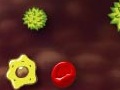 play Amoebe