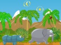 play Afrafly