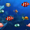 play Couple Fishes
