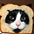 play Bread That Cat!