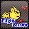 play Flight Lesson