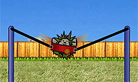 play Hedgehog Launch