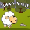 play Funny Sheep