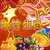 play 爆竹生肖