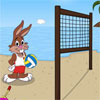 play Beach Volleyball