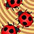 play Crazy Ladybugs