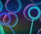 play Rainbow Bubbles