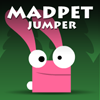 play Madpet Jumper
