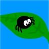 play Spiderspin