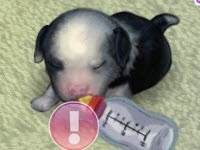 play Virtual Puppy