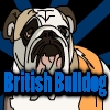 play British Bulldog