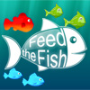 play Feed The Fish