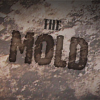 play The Mold