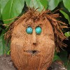 play Jigsaw: Coconut Man