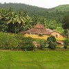 play Jigsaw: Jungle Farm