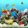 play Jigsaw Puzzle: Fish