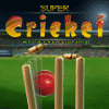 play Supercricket