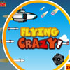 play Flying Crazy