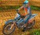 play Motocross Country Fever