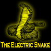play The Electric Snake