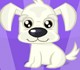 play Pretty Dog Contest