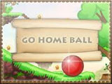 Go Home Ball