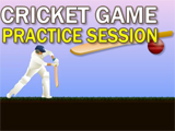 play Cricket