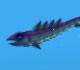 Azurefish