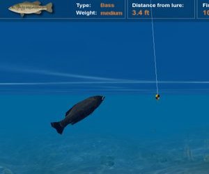 play Big Catch