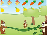play Squirrel Mania