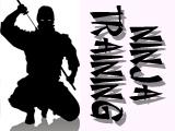 play Ninja Trainer