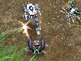 play Excited Insects
