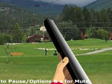 play Skeet Shooting