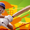play Cricket The Batsman