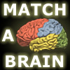 play Match-A-Brain